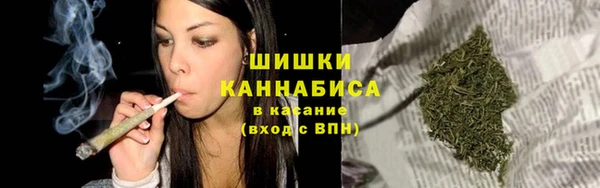apvp Вяземский
