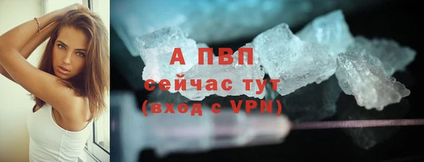 ГАЛЛЮЦИНОГЕННЫЕ ГРИБЫ Вязники