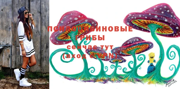 ГАЛЛЮЦИНОГЕННЫЕ ГРИБЫ Вязники