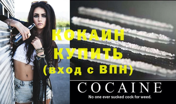 ГАЛЛЮЦИНОГЕННЫЕ ГРИБЫ Вязники