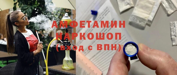 apvp Вяземский