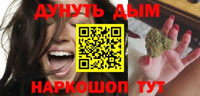 гидра Новозыбков