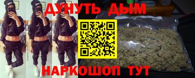 гидра Новозыбков