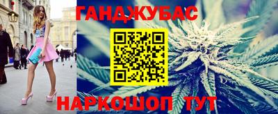 гидра Новозыбков