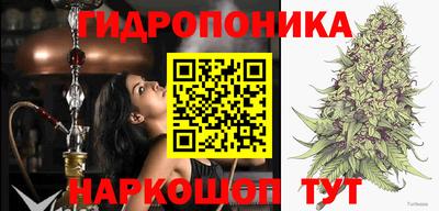 гидра Новозыбков