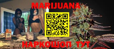 гидра Новозыбков