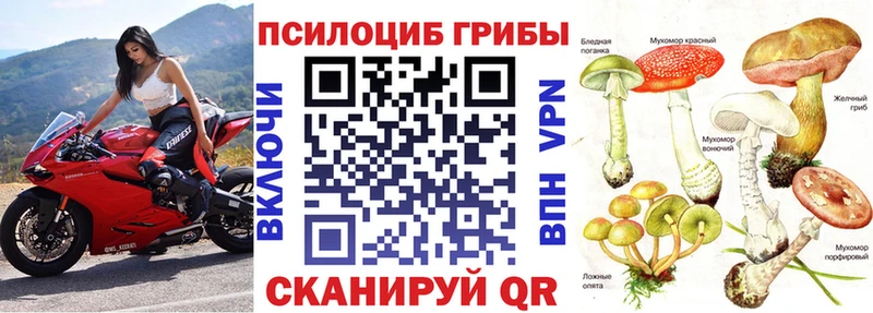 Галлюциногенные грибы Magic Shrooms  как найти закладки  дарк нет официальный сайт  Альметьевск 