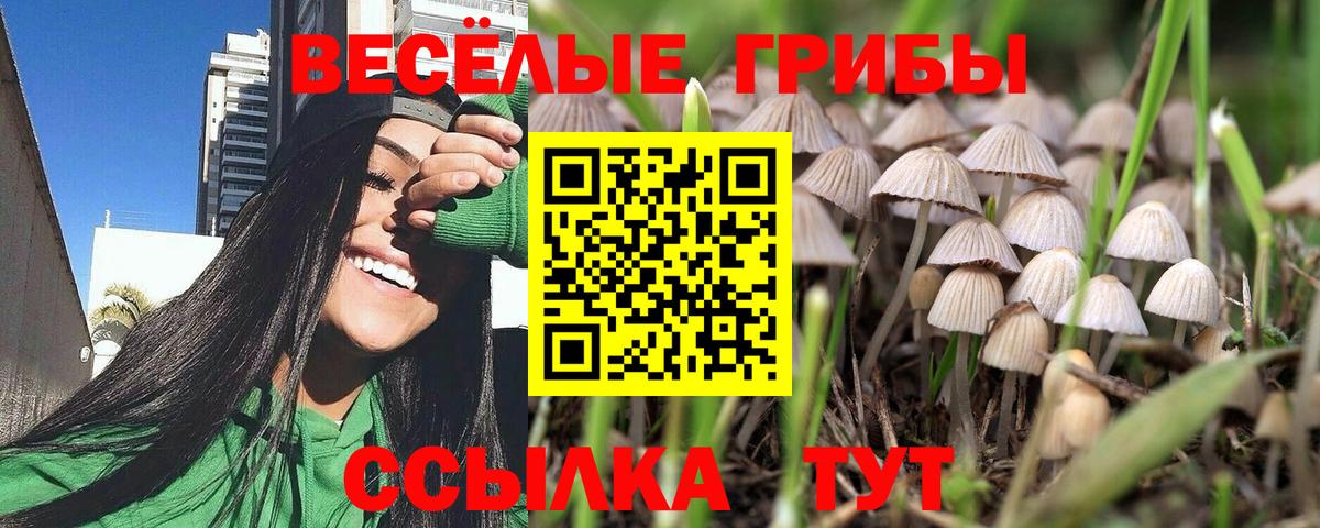 Псилоцибиновые грибы GOLDEN TEACHER  Вход с VPN  Галлюциногенные грибы мицелий  Альметьевск 