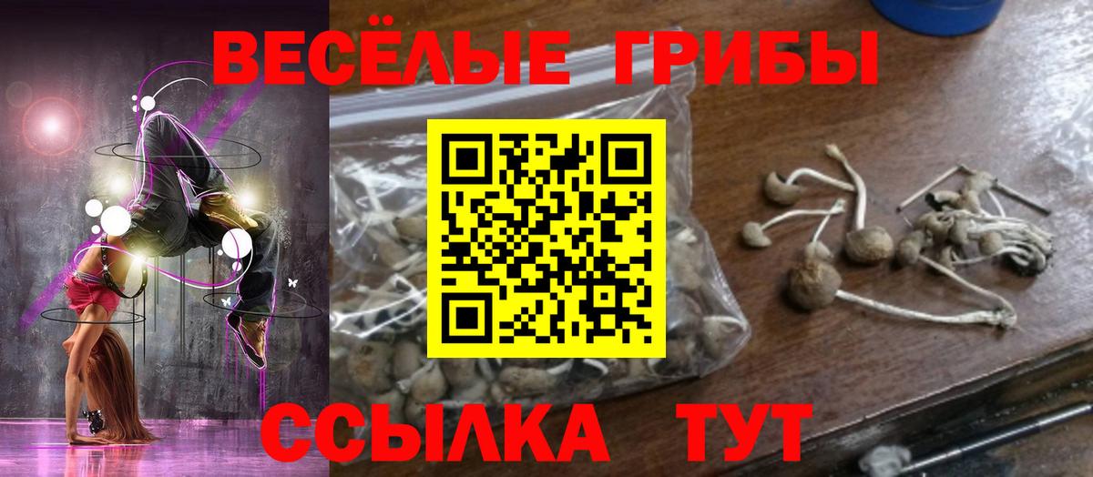 Галлюциногенные грибы ЛСД Альметьевск