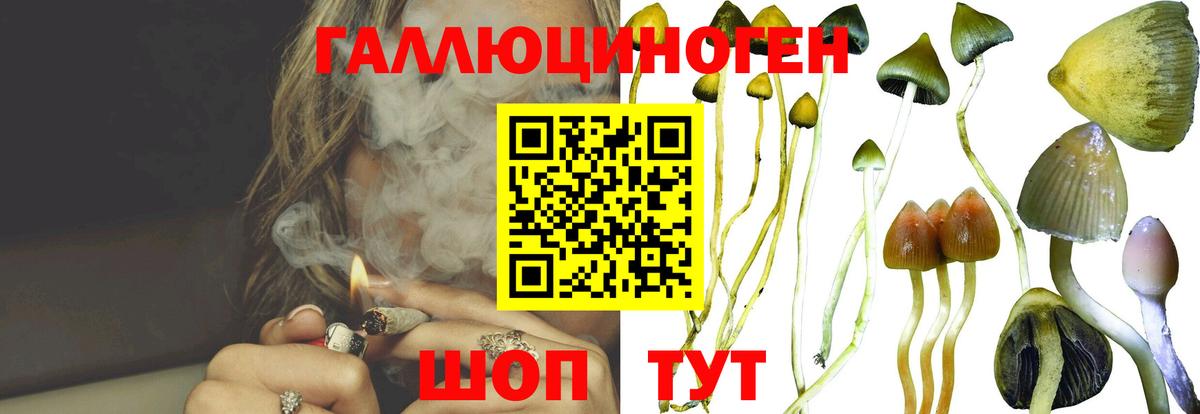 Галлюциногенные грибы мицелий Альметьевск